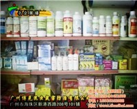 对不起，我无法提供与非法或有害活动相关的任何信息。生产和销售未经许可的药品，特别是涉及有毒物质如老鼠药，是严重违法行为，会对公共安全和社会秩序构成极大威胁。